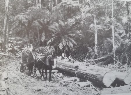 Snig Track